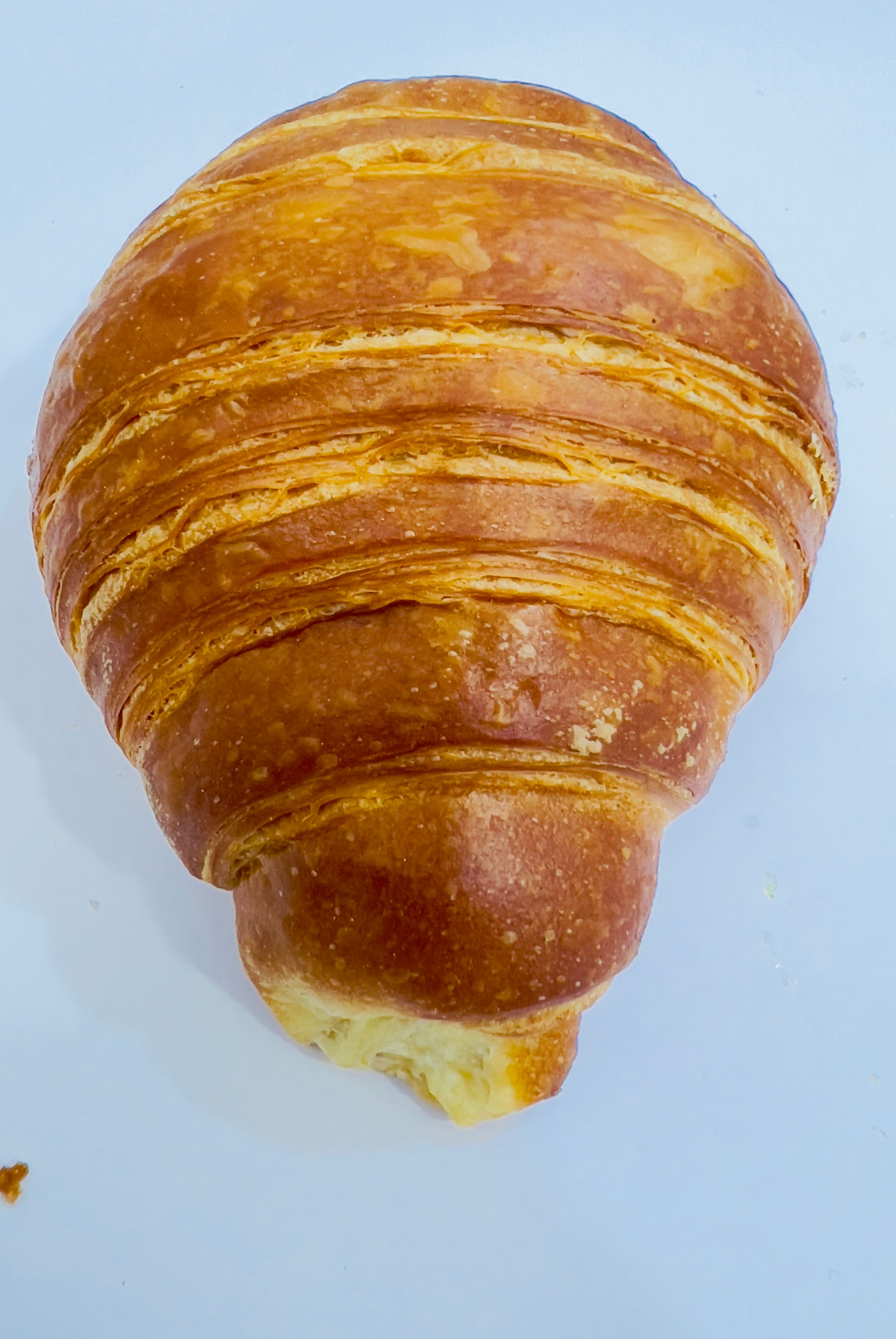 بريوش صادى 4 طروف 