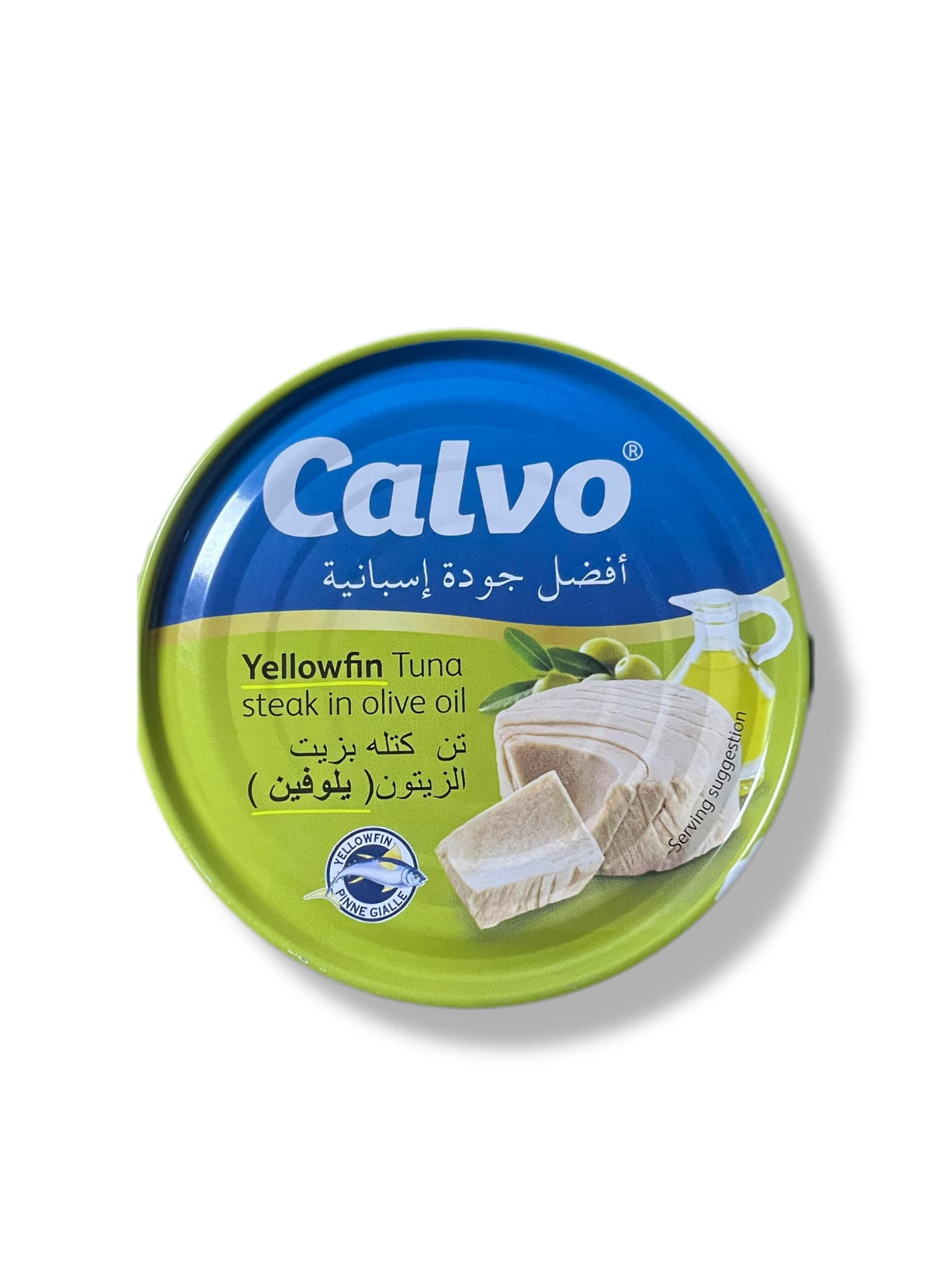 تن كالفو الغنيه عن تعريف 