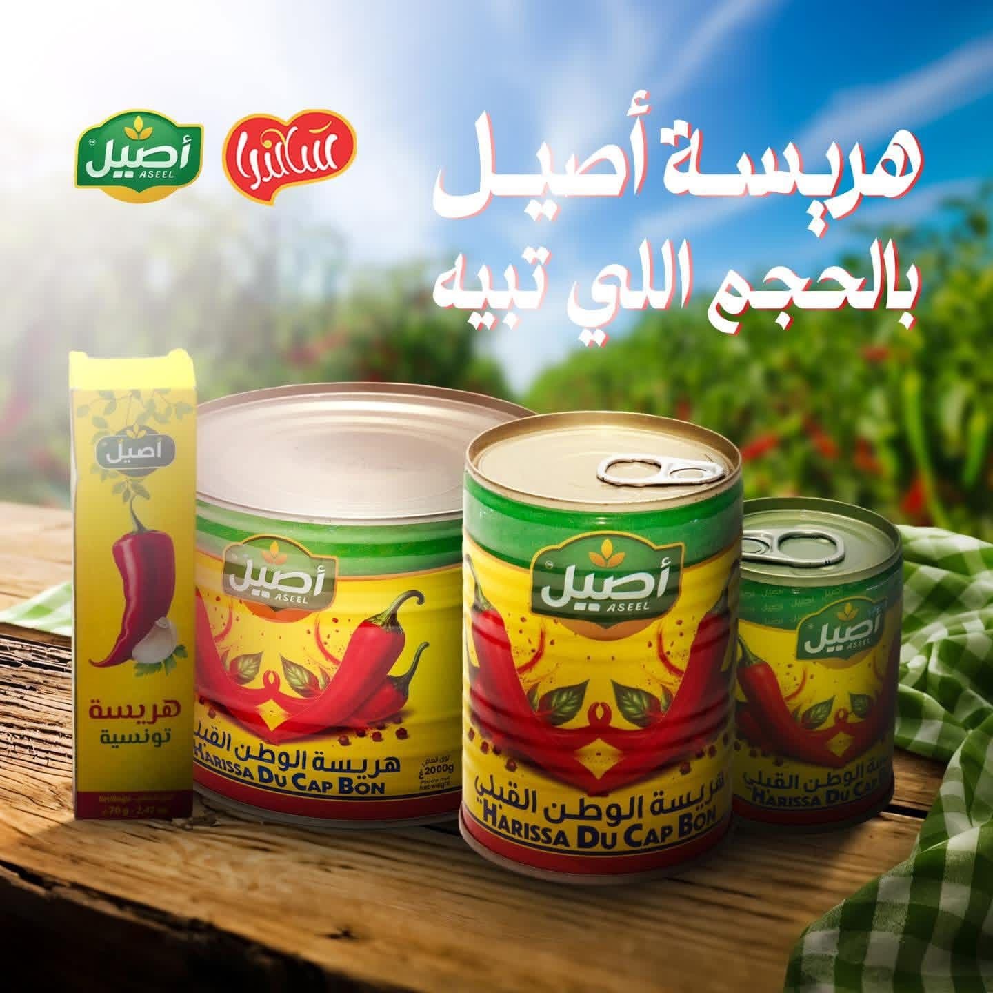 هريسة أصيل كبيرة 